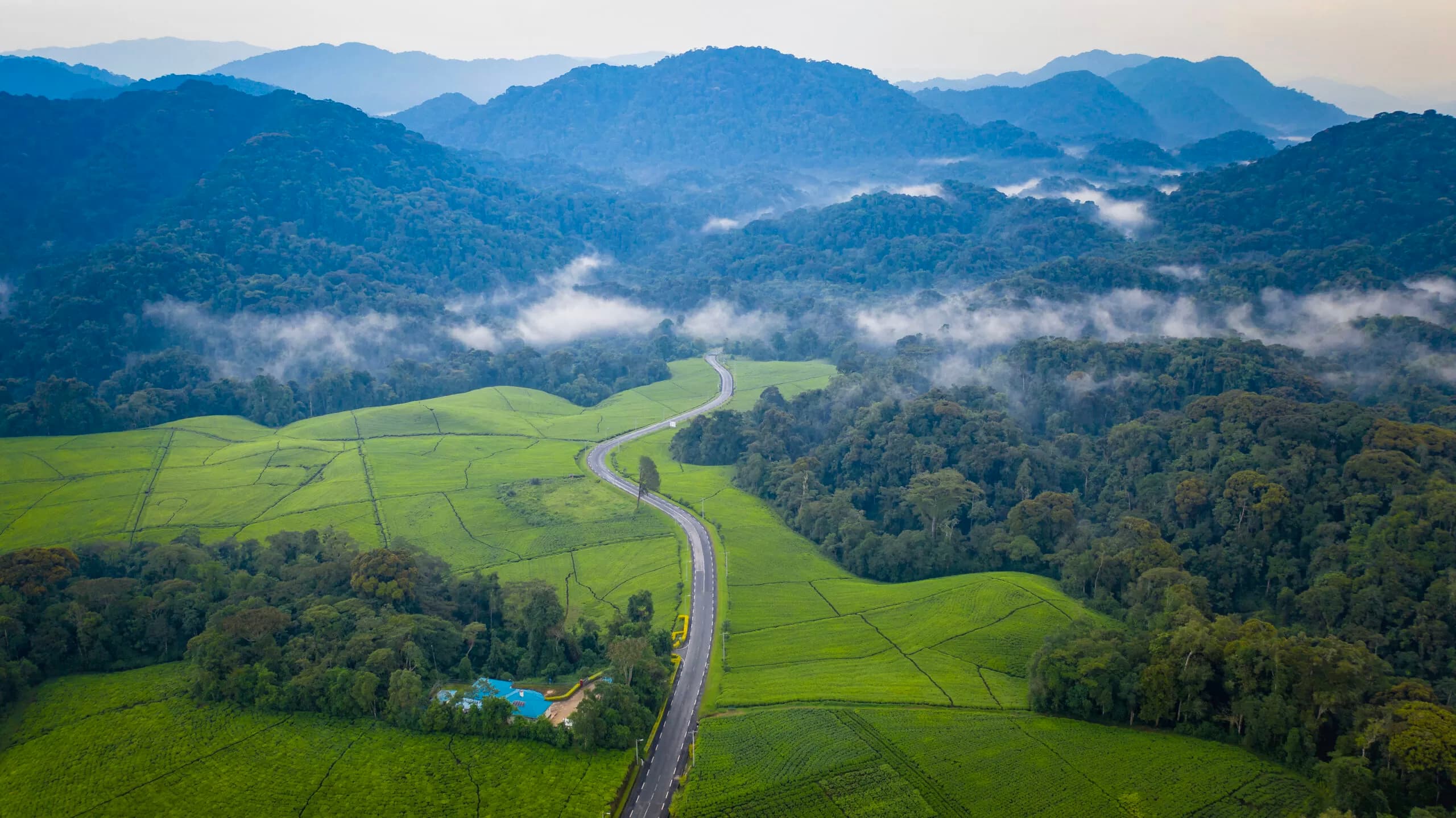 Rwanda's thousand hills rolling down to Lake Kivu, green farmland and forest under a wide sky